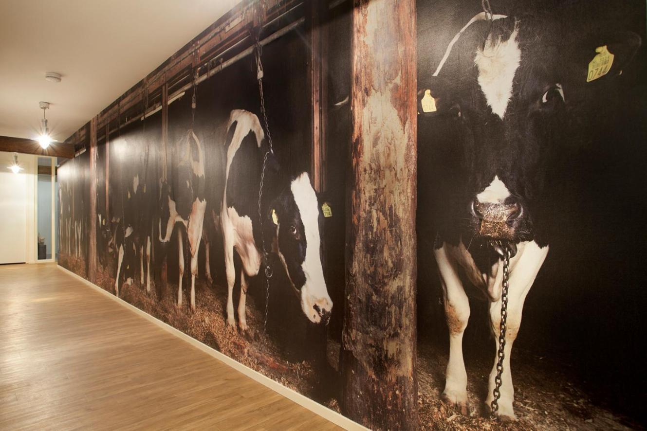 Hotel B&B Hoeve De Vredenhof ザイドラーレン エクステリア 写真